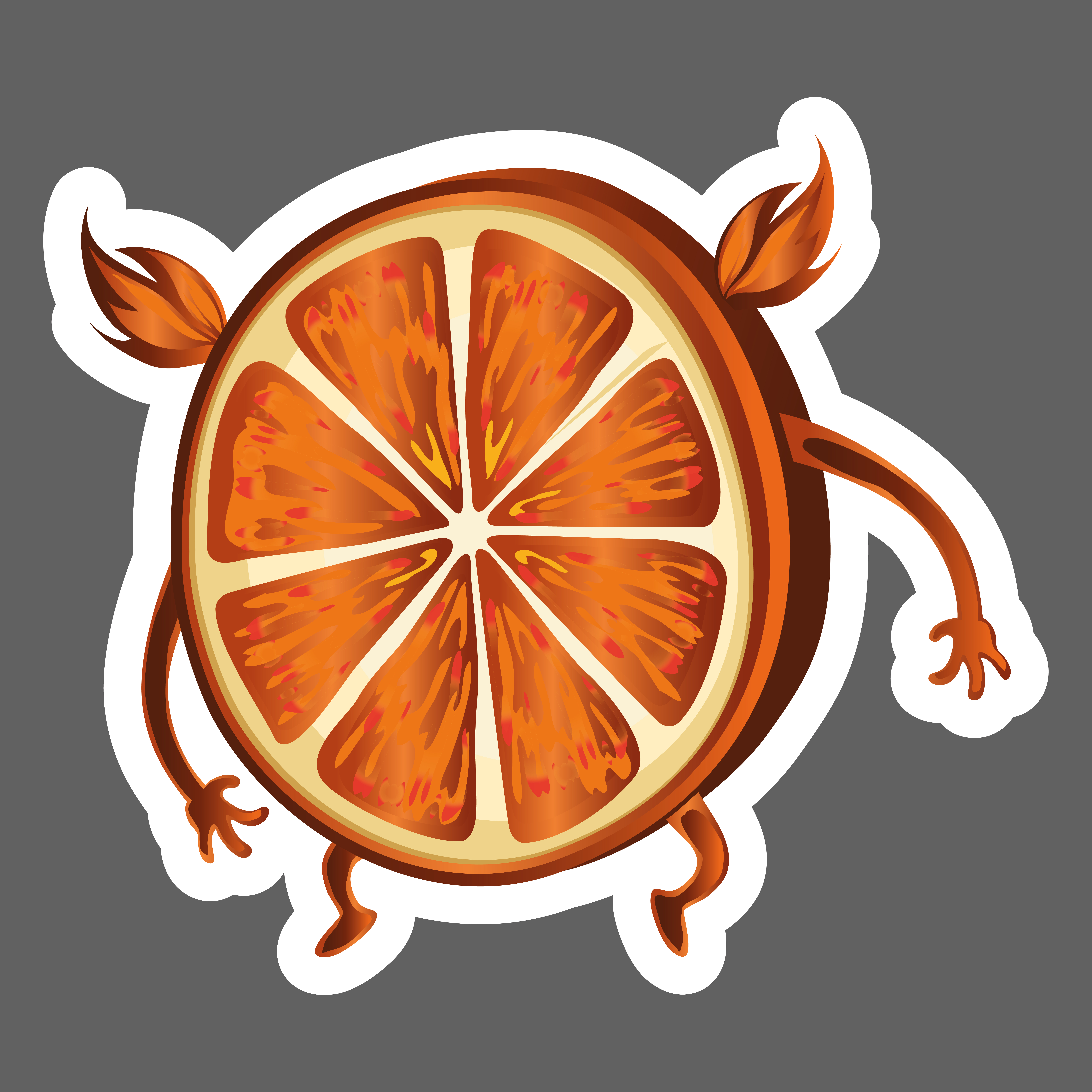 Illustration Project